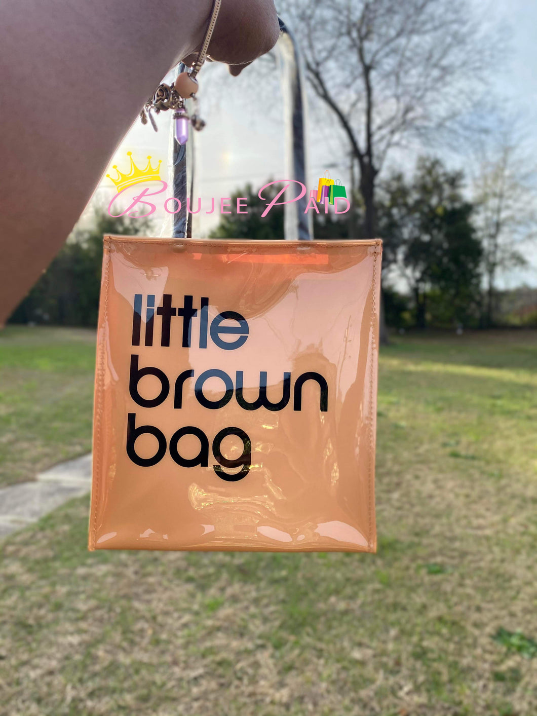 Little Brown Handbag